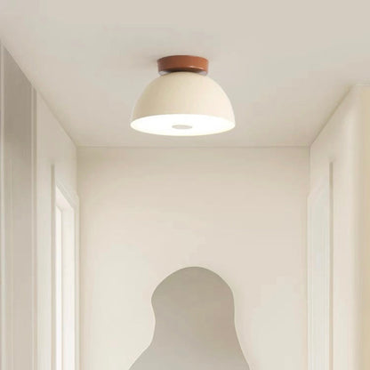 Plafonnier Zyrelis | LED Intégrée 220–240V | Fer Rétro Industriel